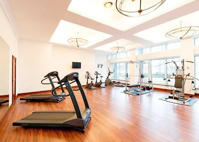 ドルメロ シュツットガルト